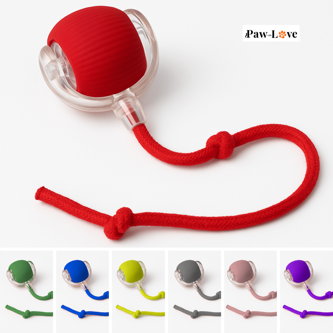 CrazyPlay Ball