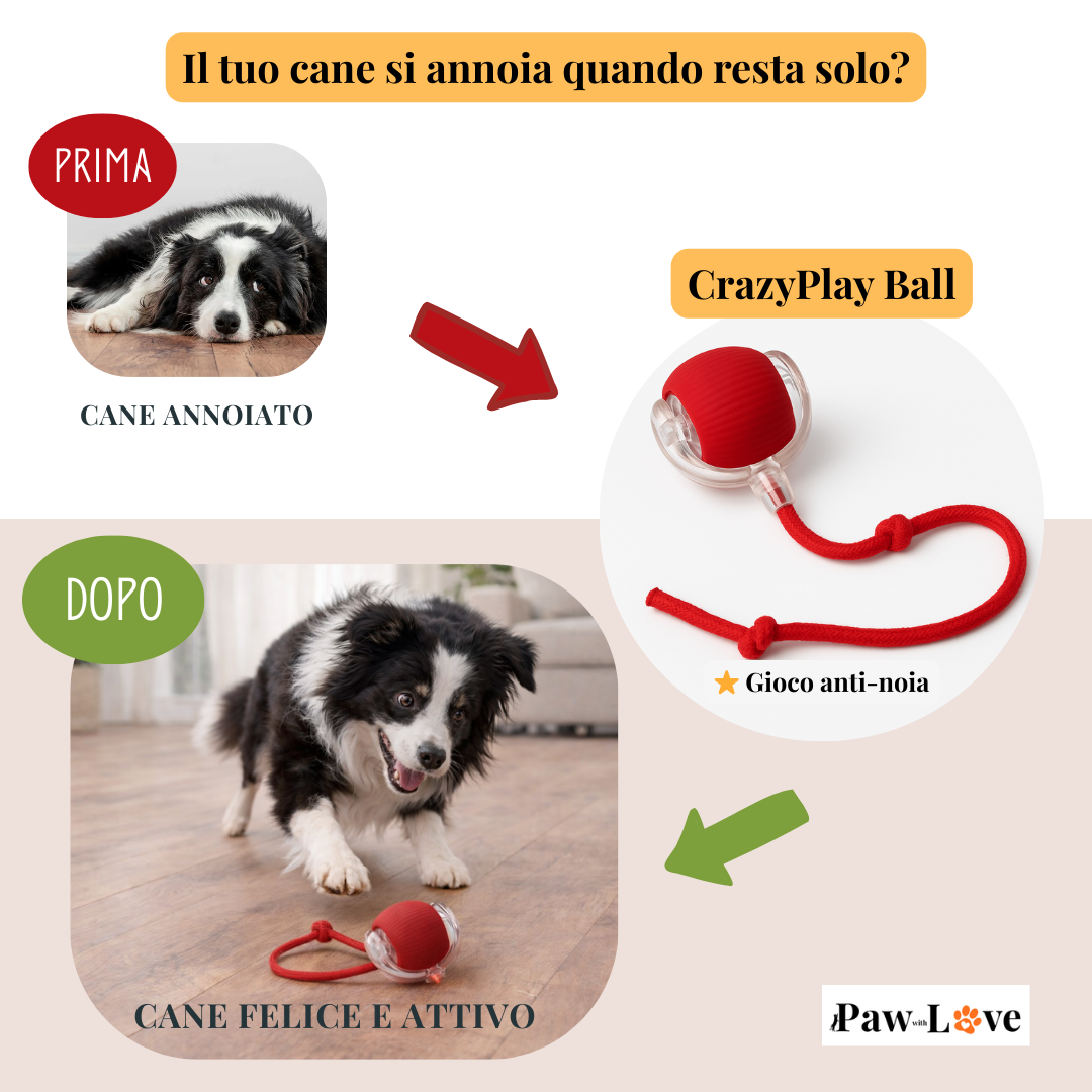 CrazyPlay Ball